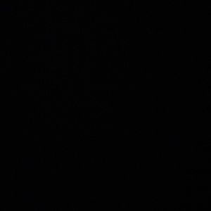 Meet your Posher, Billy